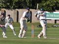 anderson of drumpellier batting.jpg